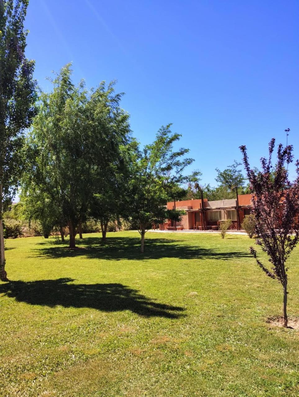 Celestino Posta Andina Hotel Barreal Exterior photo